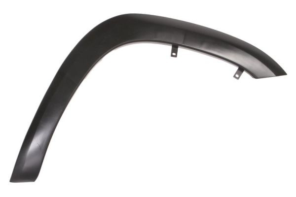 Right Front BLIC 5703-08-8179376P Trim/Protection Strip, wing for TOYOTA