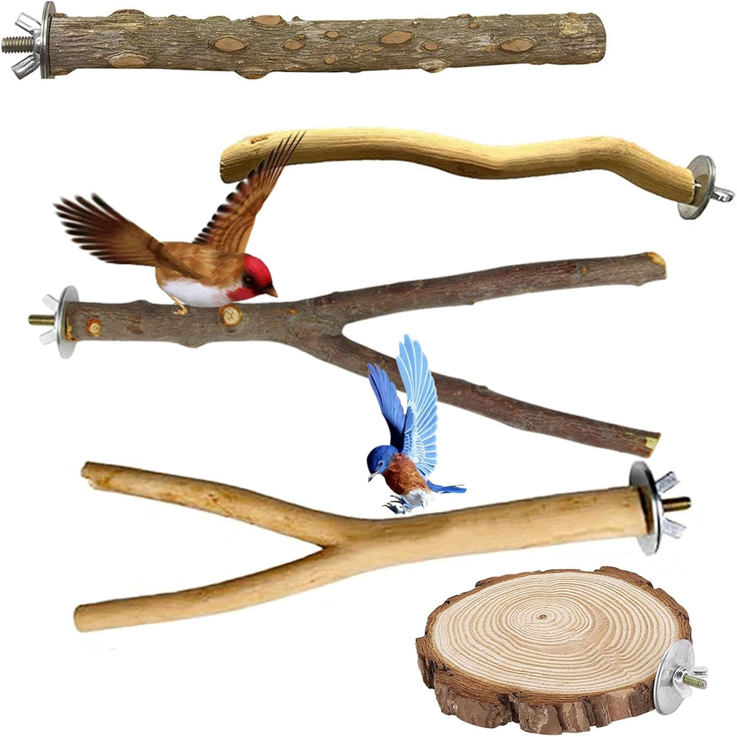 5Pcs Bird Perches, Natural Wooden Parrot Stand Set, Birds Toys Parakeet Perch, M