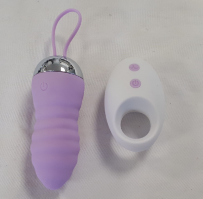 Sextoys oeuf vibrant violet avec tlcommande USB changeable jouet adultes  /EBPA | eBay