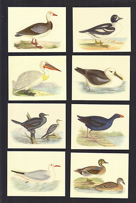 CIGARETTE/TRADE/CARDS. GDS Cards. BIRDS by C.R.Bree. (Complete Set of 25).(2007)
