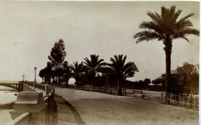 Tirage Albuminé Ancien Saint-Raphaël, Vue Générale - Circa 1880, 17x23cm