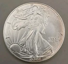 2022-W American Silver Eagle