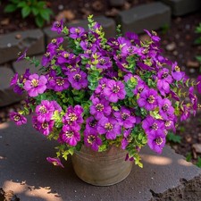 Dyale 12 Bundles Artificial Fake Plants Flowers for Outdoor,UV Resistant Spri...