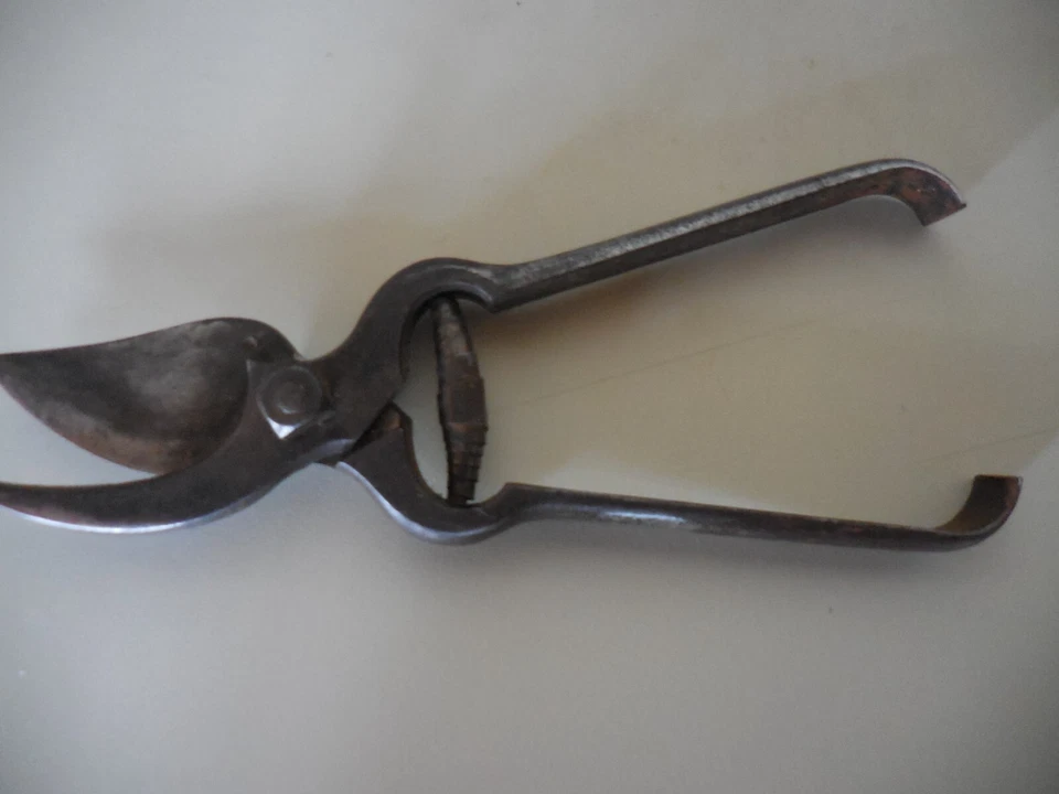 Outil Ancien Sécateur De Vigneron Outil De Taille Coupe Vignes Branche XXème - Photo 2/4