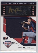 2019 USA Baseball Stars & Stripes Black Gold Relic Auto 76/89 Andre Pallante