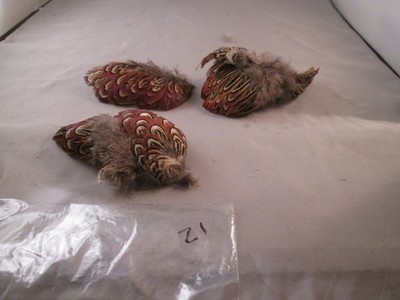 RINGNECK PHEASANT RUMP PATCH #21 Fly Tying Feathers used is in good condition