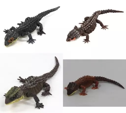 All 4 Types Set Creatures Encyclopedia of Creatures Advanced Reptile Figures