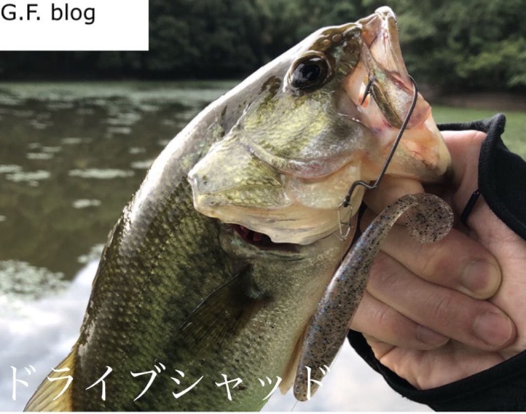 RAID JAPAN Gary Yamamoto Heart Tails & O.S.P Swimbaits Soft Lures 4-5in - Image 12