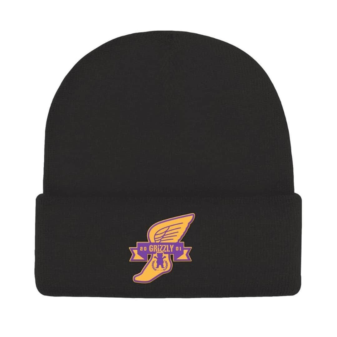 Grizzly Griptape ''Swift'' Beanie Hat (Black) Men's Cuffed Knit Cap