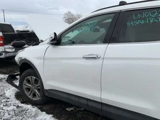 (LOCAL PICKUP) Driver Left Front Door LWB Fits 13-19 SANTA FE 1333076