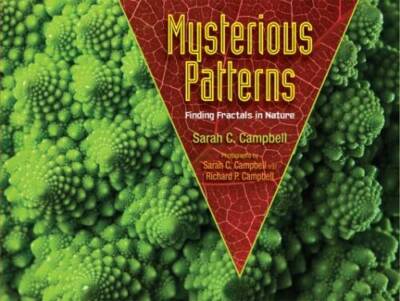 Mysterious Patterns: Finding Fractals in Nature - Hardcover - GOOD