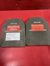 Medium Sapi AP Plates ESBI set of 2 LOT C