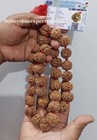 Foto 1 di 4