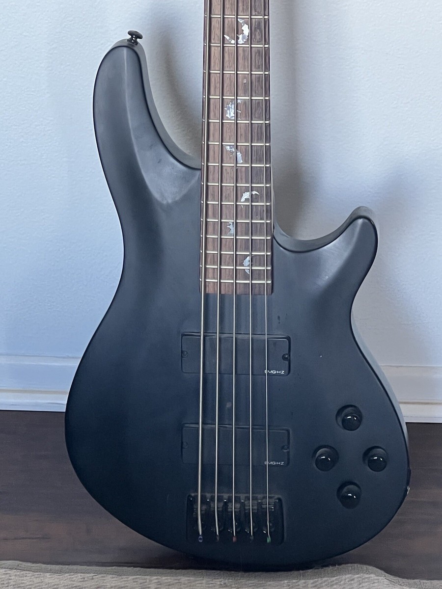 schecter damien 5 | eBay