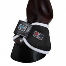 premier equine magnetic hock boots