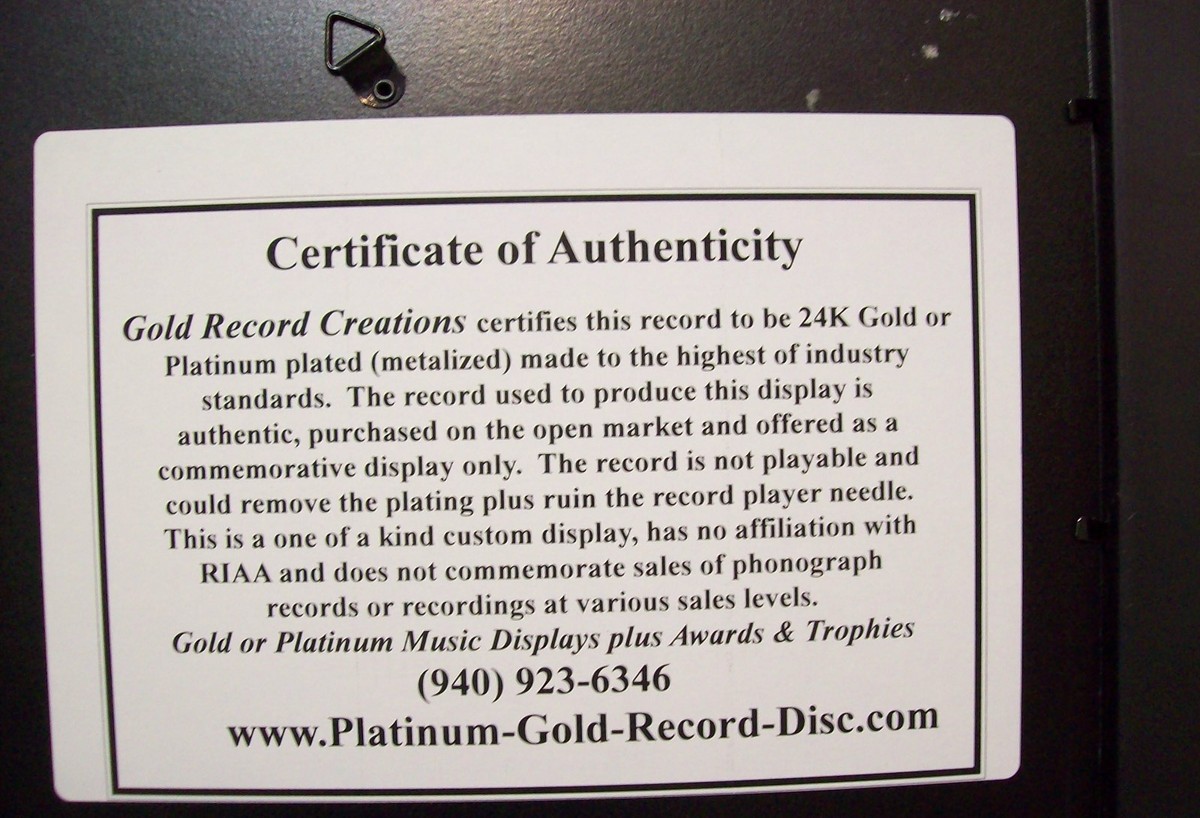 20th Anniversary Wedding Gift Platinum Silver LP Record Album