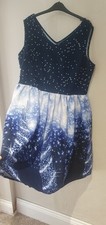 PRETTY WINTER CHRISTMAS Dress Big Print Plus Size 4xl 22 24 BLue white 