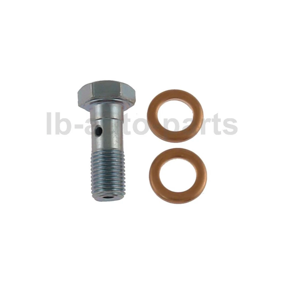 Perno de banjo hidráulico de freno trasero Carlson 2X para Ford F-250 Super Duty Foto 3 de 3