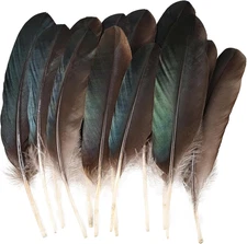 Pheasant Feathers 12 PCS Natural Feathers 8-10 Inch for DIY Crafts Hat Floral Ar