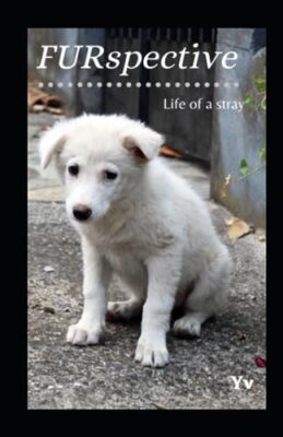 V - FURspectie  life of a stra  Poetic ersion - New paperback or softb - X555z