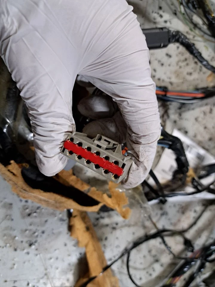 ROOF WIRE HARNESS fits FORD EXPEDITION 2003 - 2006 - Image 4 of 4