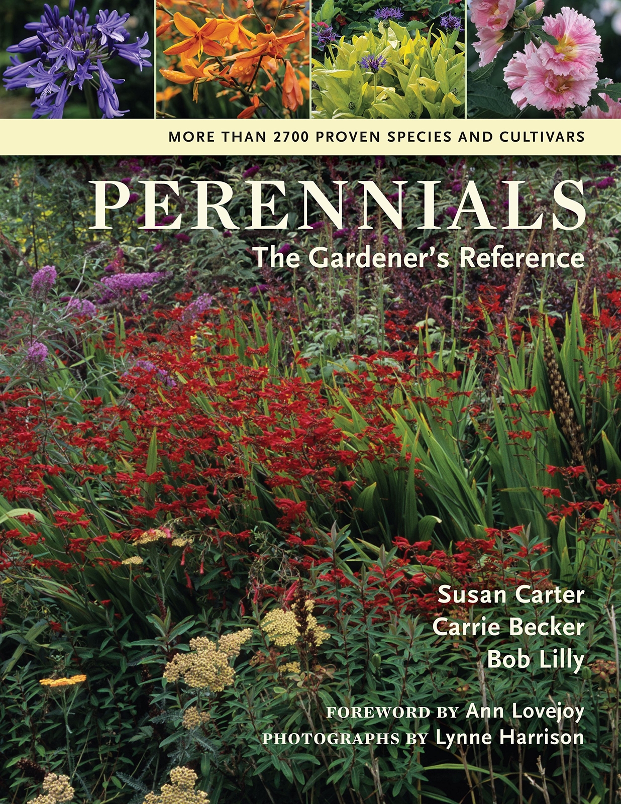 Perennials: The Gardener's Reference by Carter