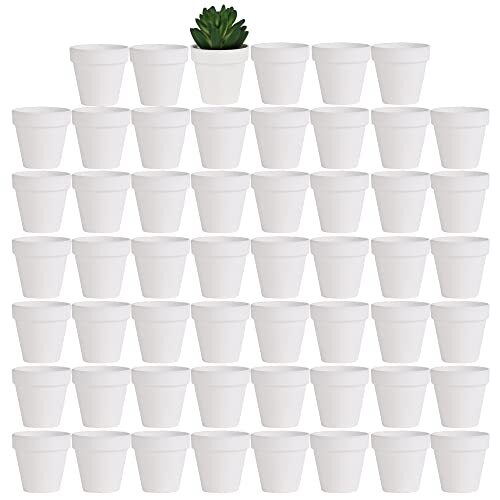 2 inch Small Terracotta Pots with Drainage Holes,Mini Clay Ceramic White - Picture 2 of 6