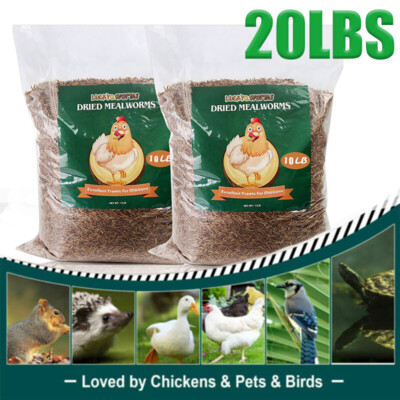 20LBS Bulk Dried Mealworms High Protein Wild Birds Food Chickens Hen Fish Treats