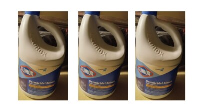 3 Pack Clorox Regular Concentrated Germicidal Bleach