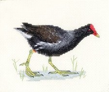 MOORHEN, Water Bird ~ Full counted cross stitch kit ~ FIDO STITCH STUDIO