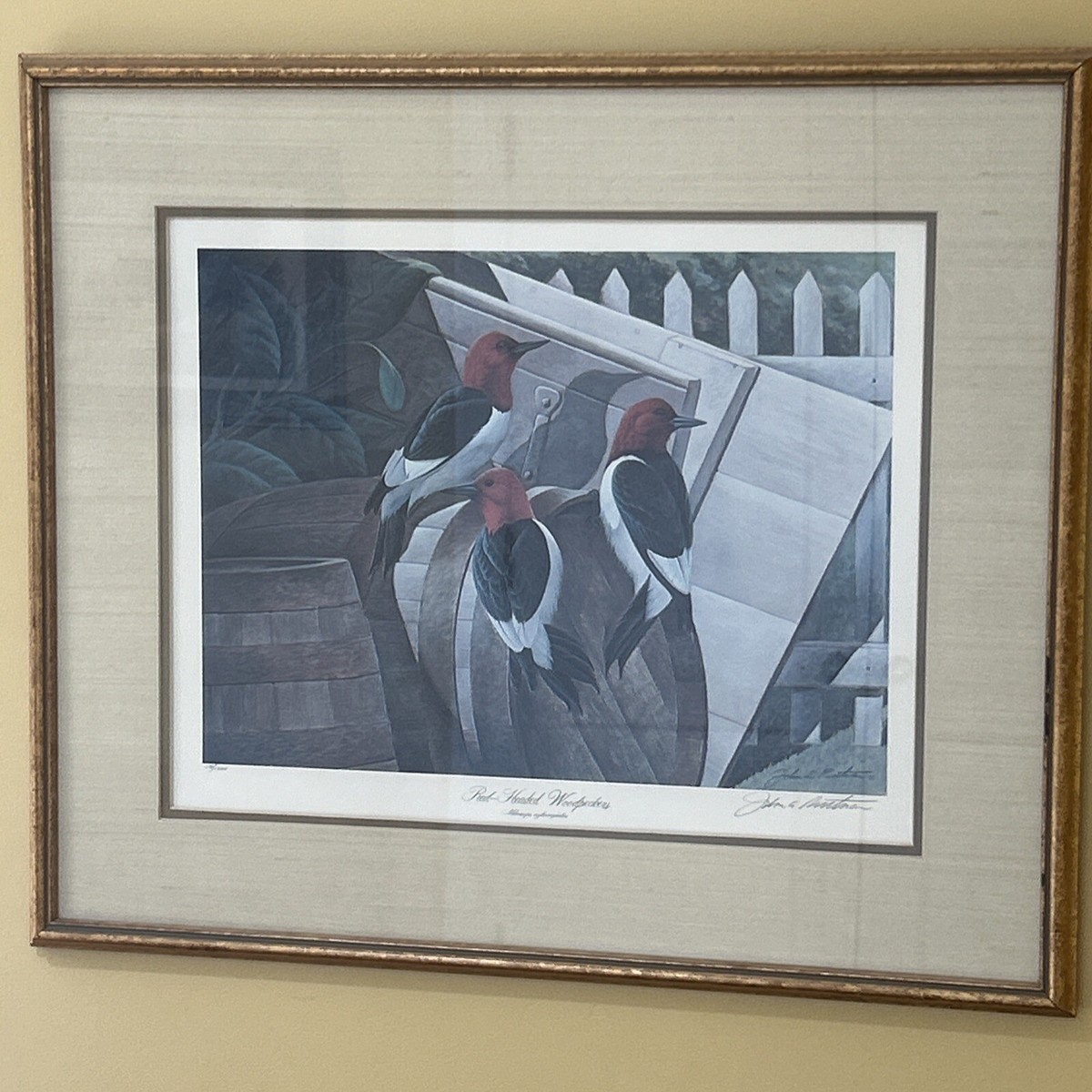 John Ruthven Signed Wildlife Lithograph 