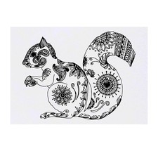 'Patterned Squirrel' Temporary Tattoos / Transfers TO00049164