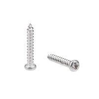 50X Selbstschneidend Schrauben Kreuzschlitzkopf 316 Edelstahl Bolzen 2X12Mm