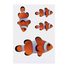 4 x 'Clownfish' Temporary Tattoos / Transfers TO00014964 