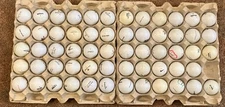 Assorted Brands Golf Ball Lot of 59 - All White Titleist, Top-Flite, Wilson, etc