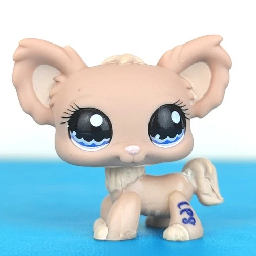 Littlest Pet Shop #1060 Chihuahua Dog / 300+ LPS – PAY SHIPPING ONCE FOR US