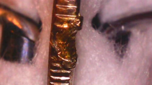 2015 D Bombay Hook Quarter, Strike Thru Rim Error/clipped Rim,scope Photos#Q-007 - Picture 11 of 11