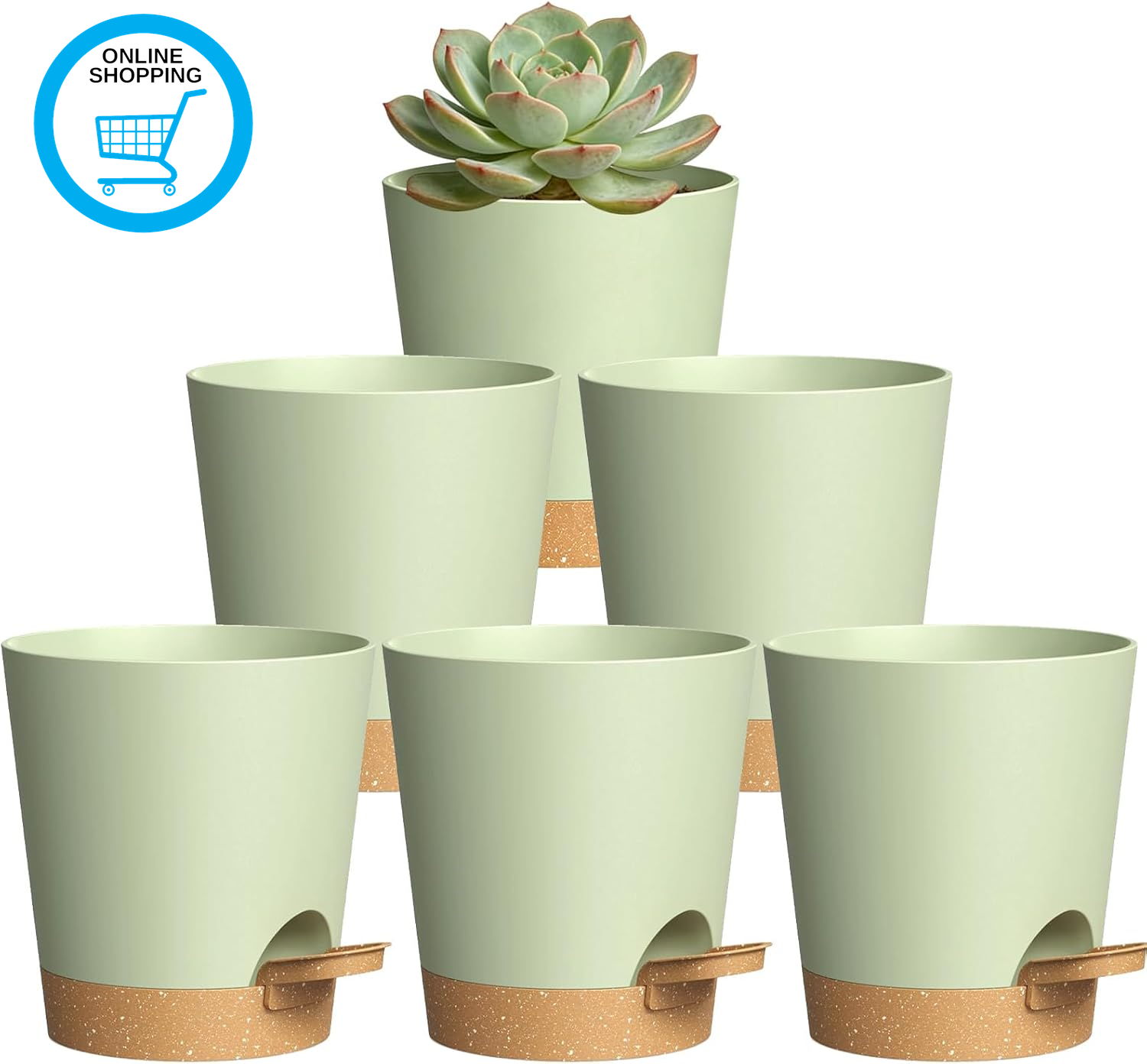 6 Pcs Self Watering Plant Pots Indoor, 10Cm Small Plastic Flower Pots with Drain