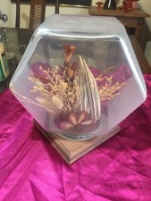 Vintage Fish Bowl Frosted Dried Foliage Terrarium 10" x 9.5" Retro Decor