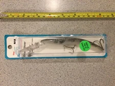 Reef Runner Deep Diver