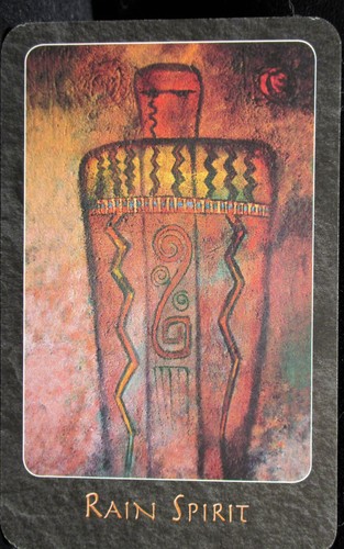 SEALED NEW! A SHAMAN ORACLE CARDS & BOOK & SPREADSHEET INDIAN SOUTHWEST - Imagen 5 de 12