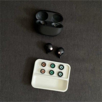 Sony WH-1000XM5 Black True Wireless Bluetooth In-Ear Earbuds w/ Charging Case