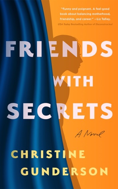 Friends with Secrets A Novel by Christine Gunderson (Paperback Book)