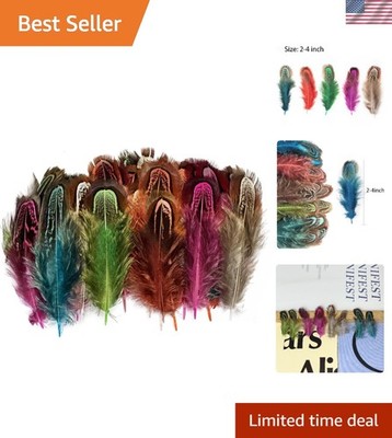 Eco-Friendly Natural Pheasant Feathers - 100 Pcs for Clothing & Accessory Design