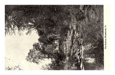 Postcard: THE HENRY MORRISON FLAGLER MUSEUM Palm Beach, Fl 2