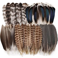 Natural Pheasant Feathers Mixed Feathers for Crafts DIY Hat Floral Arrangements