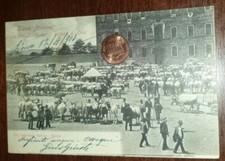 Cartolina d'epoca paesaggistica Italia Toscana Siena Fiera Bestiame Pzza D Armi