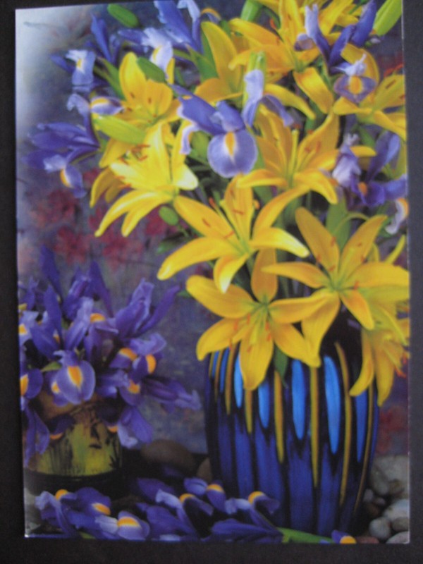 UNUSED vintage greeting card Sunrise Greetings BLANK Purple Irises&YellowFlowers