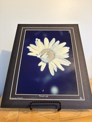 Michael Sirois Signed ''Pristine'' Floral Print 5/500 limited edition from Plan B 