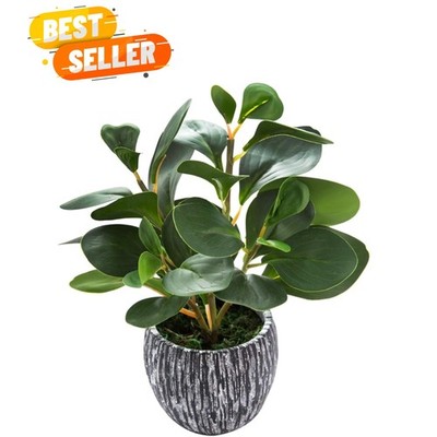 Elegant Evergreen Artificial Fig Plant with Black Cement Planter - Stylish Decor